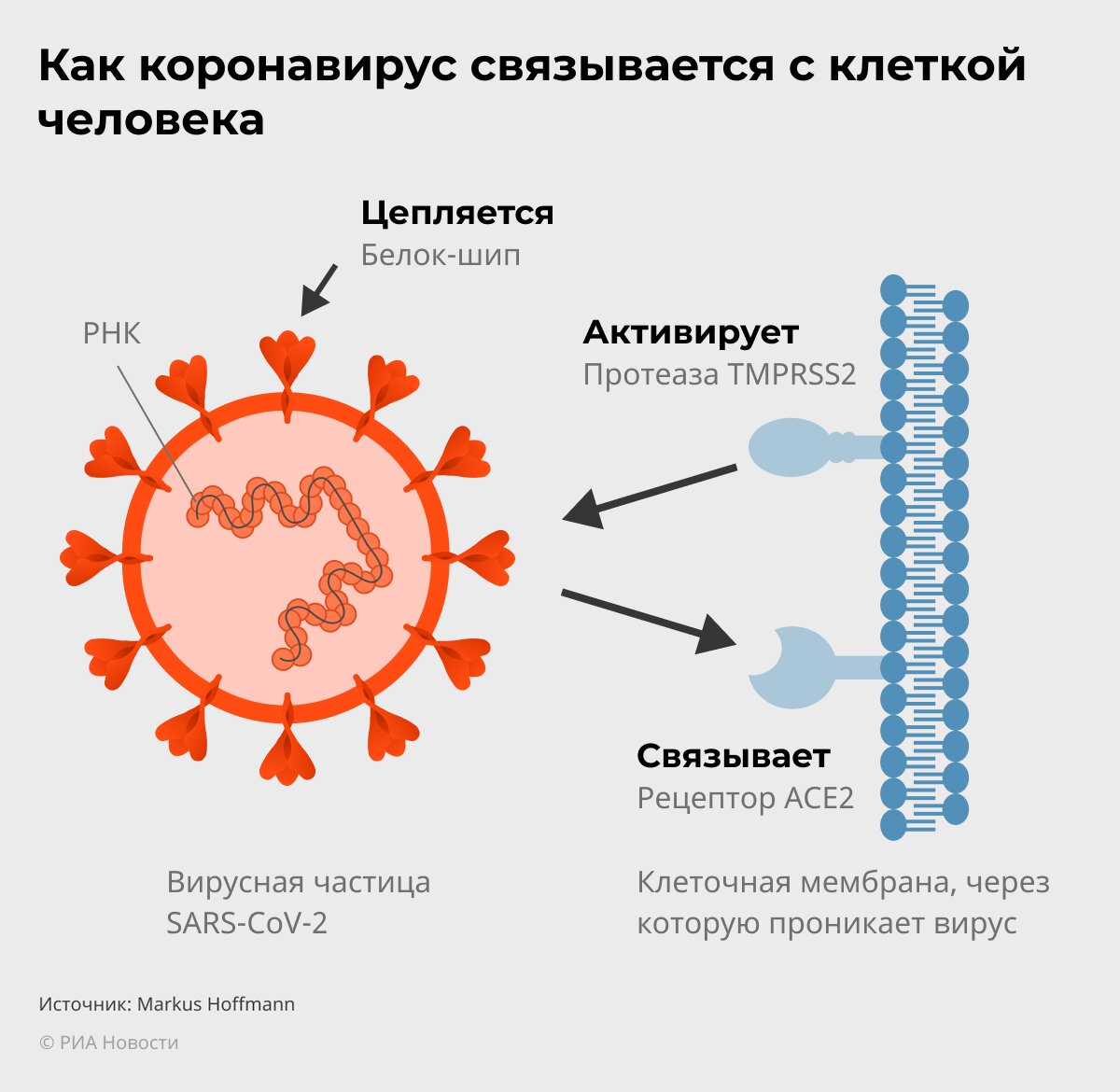 человек на вершине горы. человек с распростертыми руками. может ли человек стоит. мужчина думает в полный рост. стремление к цели.