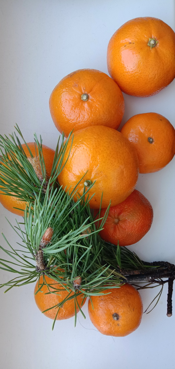 Фото из личного архива. 