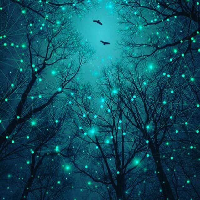 ©️PINTEREST