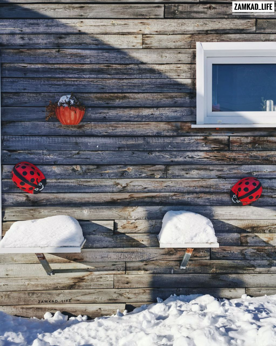 Фото: zamkad_life