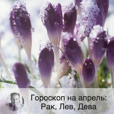 Подписывайтесь и ставьте 👍
Гороскоп для всех знаков зодиака можно посмотреть на моем сайте в разделе «Статьи». Чтобы узнать подробнее, что вас ждет, заказывайте личный прогноз по ссылке в описании профиля. 
🦀 Рак
❤️ В начале месяца велика вероятность завести отношения с влиятельным человеком. Во второй половине месяца ищите себе партнера в кругу друзей.
💶 В апреле Раки будут сосредоточены на своей карьере, пытаясь показать на работе наилучшие результаты. Середина месяца будет особенна удачна для всего, что связано с информацией, продажами и общением, например, для рекламной кампании. Не отказывайтесь и от помощи, коллективная работа сейчас может оказаться продуктивнее индивидуальной.
🤒 Из-за плохого самочувствия какое-то время вы можете провести дома.

🦁 Лев
❤️ Для знакомств будет удачна первая половина месяца. Это могут быть отношения на расстоянии или с иностранцем. Семейным Львам вероятно захочется чуть больше свободы в отношениях, что может привести к недопониманию со стороны партнера и, как следствие, к конфликтам.
💶 У Львов с новой силой откроется жажда познания, и это касается не только обучения, но и новых впечатлений, мест и событий. А новыми знаниями вы будете делиться с окружающими, что поможет найти решение многих проблем.
🤒 Львам рекомендуется обратить внимание на состояние своего здоровья и заняться профилактикой.

💃🏻 Дева
❤️ В апреле Дев будут привлекать новые места, страны и культура. Вы можете завести роман с иностранцем или познакомиться с кем-нибудь в поездке.
💶 В делах могут возникнуть непредвиденные ситуации, но планетарные аспекты помогут быстро на них среагировать, в том числе благодаря вашему красноречию и таланту убеждать. В середине месяца можно заняться поиском инвесторов или кредитованием. В целом, в апреле вы сможете укрепить свое материальное положение, в том числе благодаря партнеру. Весь апрель вы будете заняты своей карьерой и подвигами в работе. Вы сможете добиться любой цели.
🤒 Сейчас отличное время, чтобы бросить вредную привычку или обзавестись полезной.