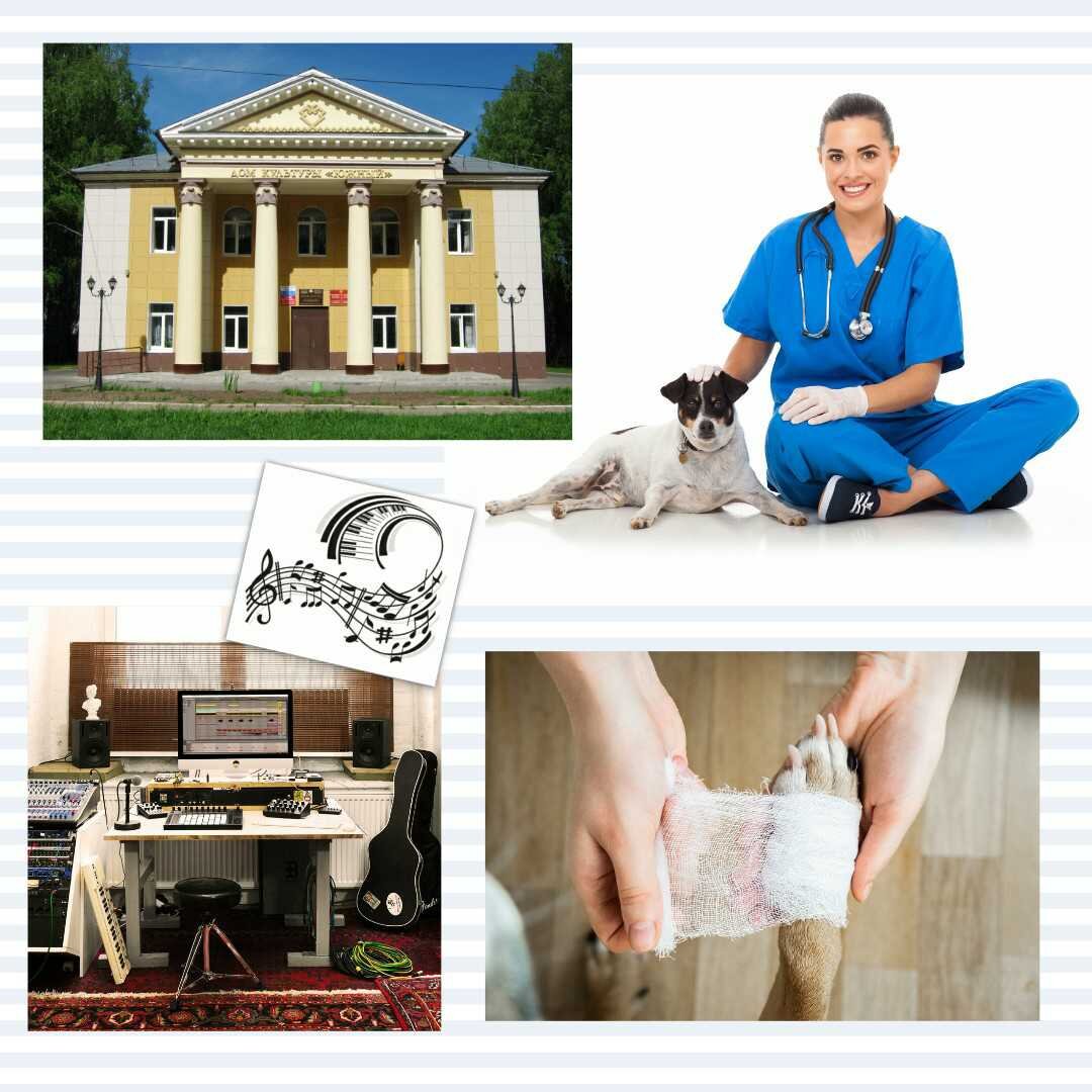 Коллаж специально для этой публикации: Елизавета Легостаева