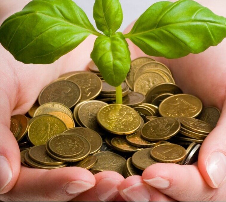 Изображение взято из Яндекс. Картинки