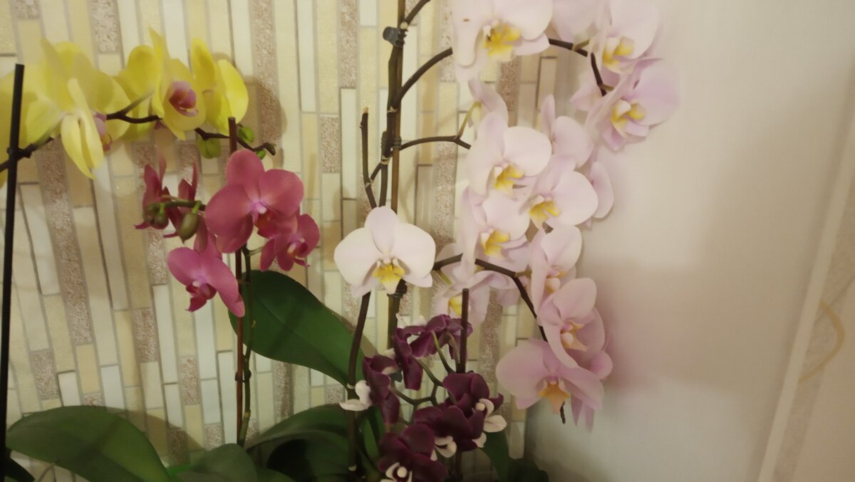 Но я всё же рискнула