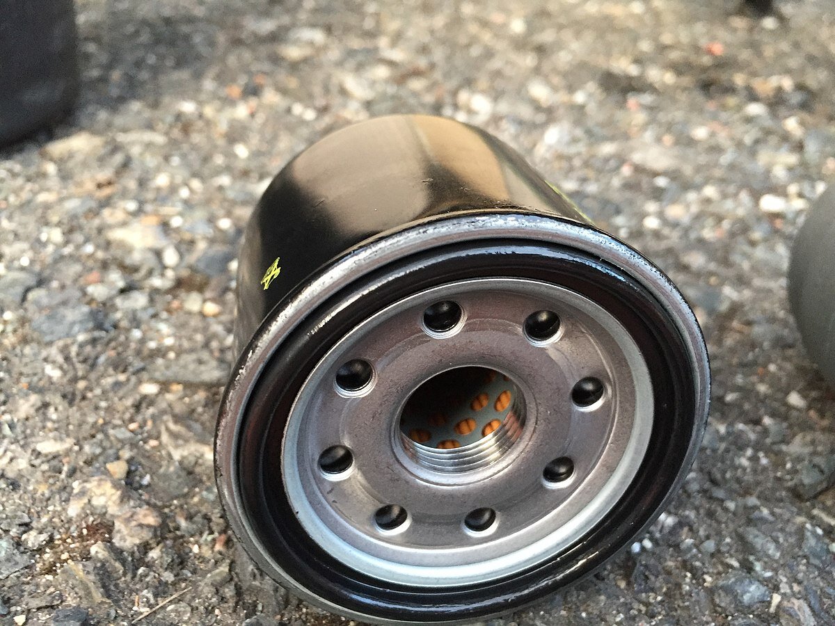 Фото: https://commons.wikimedia.org/wiki/User:Petrb