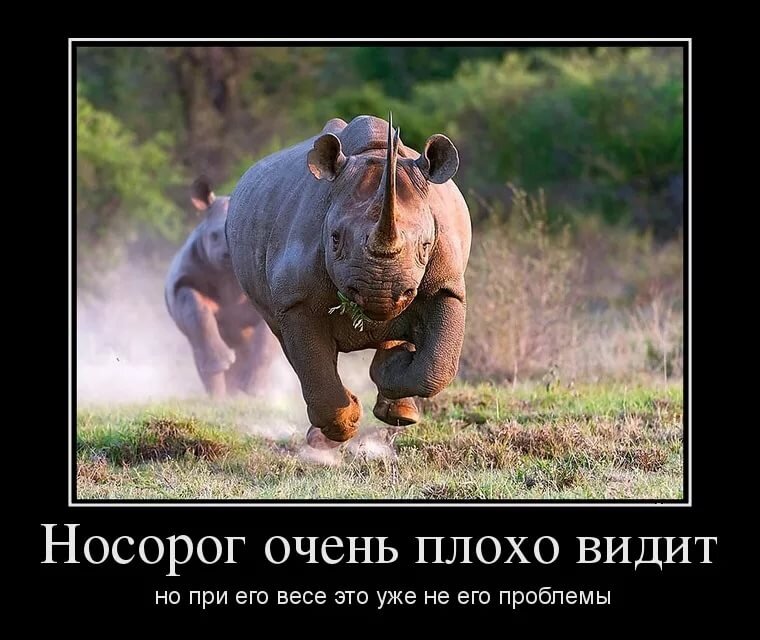 Анекдоты про животных )))