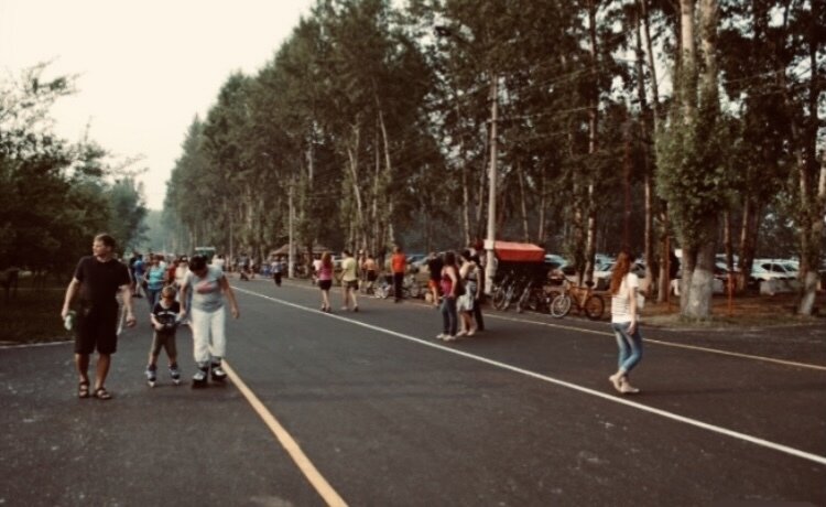 Остров Татышев. Фото взято с открытых источников