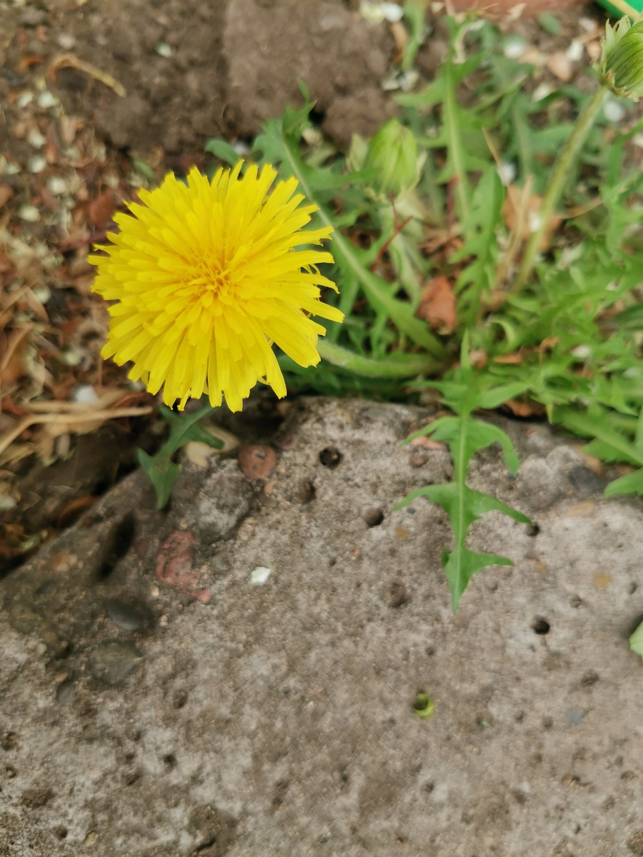 Мне родственники говорили, что наш девятилетний парень, который у меня до сих пор ассоциируется с пелёнками и разговорами про Человека-паука, заливисто матерится во дворе. Но это было как в кино: факт фактом, но где-то не со мной.