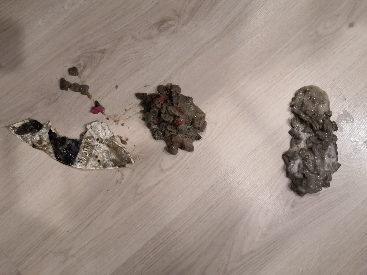 Розовый кусочек собачьей игрушки, съеденная порция корма и злосчастная этикетка