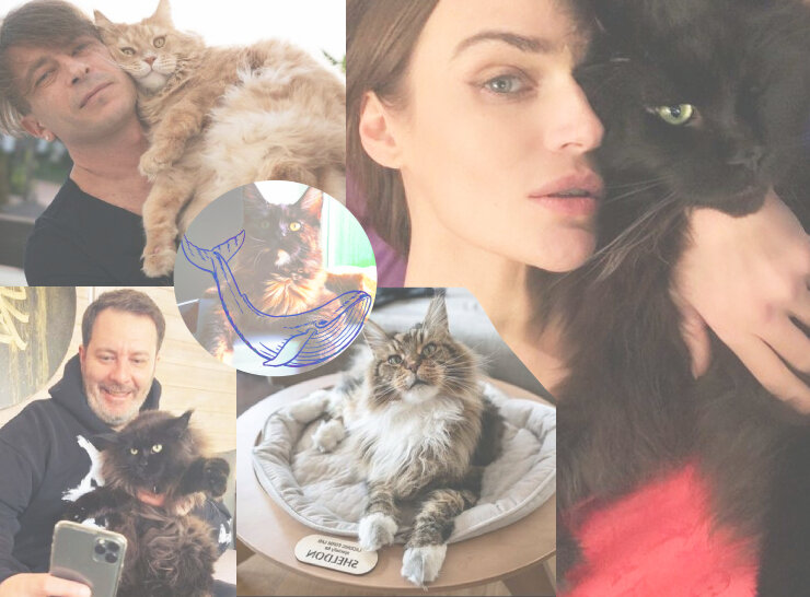 Какие у всех красавцы ♥