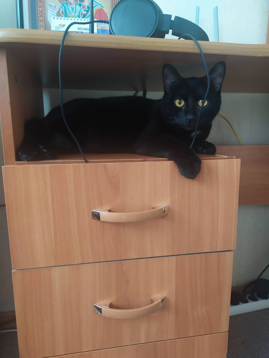 Бумер(хотя домой думали едет Бусинка)