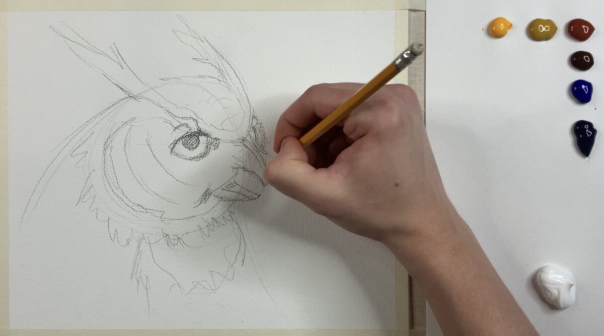 Как нарисовать сову. | Пикабу