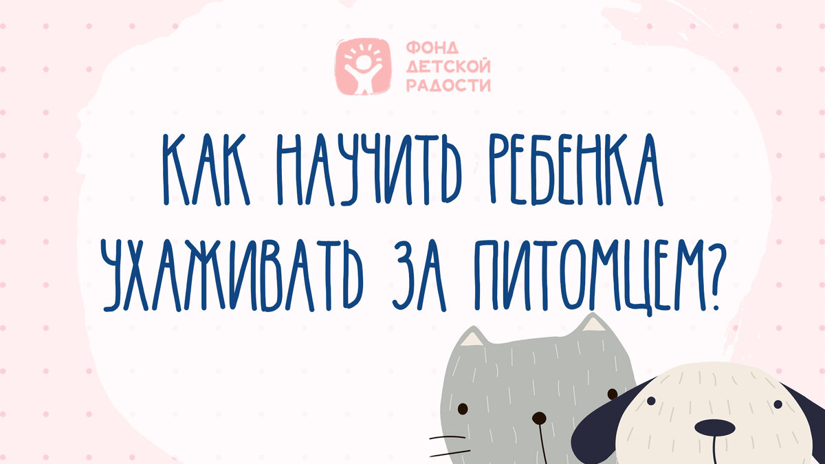 Как научить ребёнка ухаживать за животным? | Фонд Детской Радости | Дзен