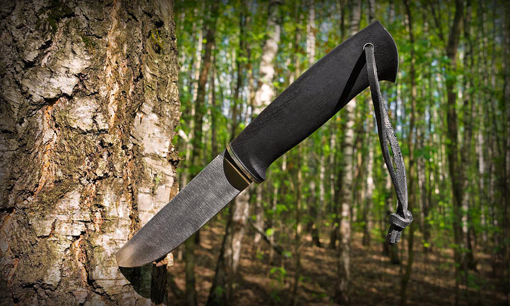 Фото взято из открытых источников