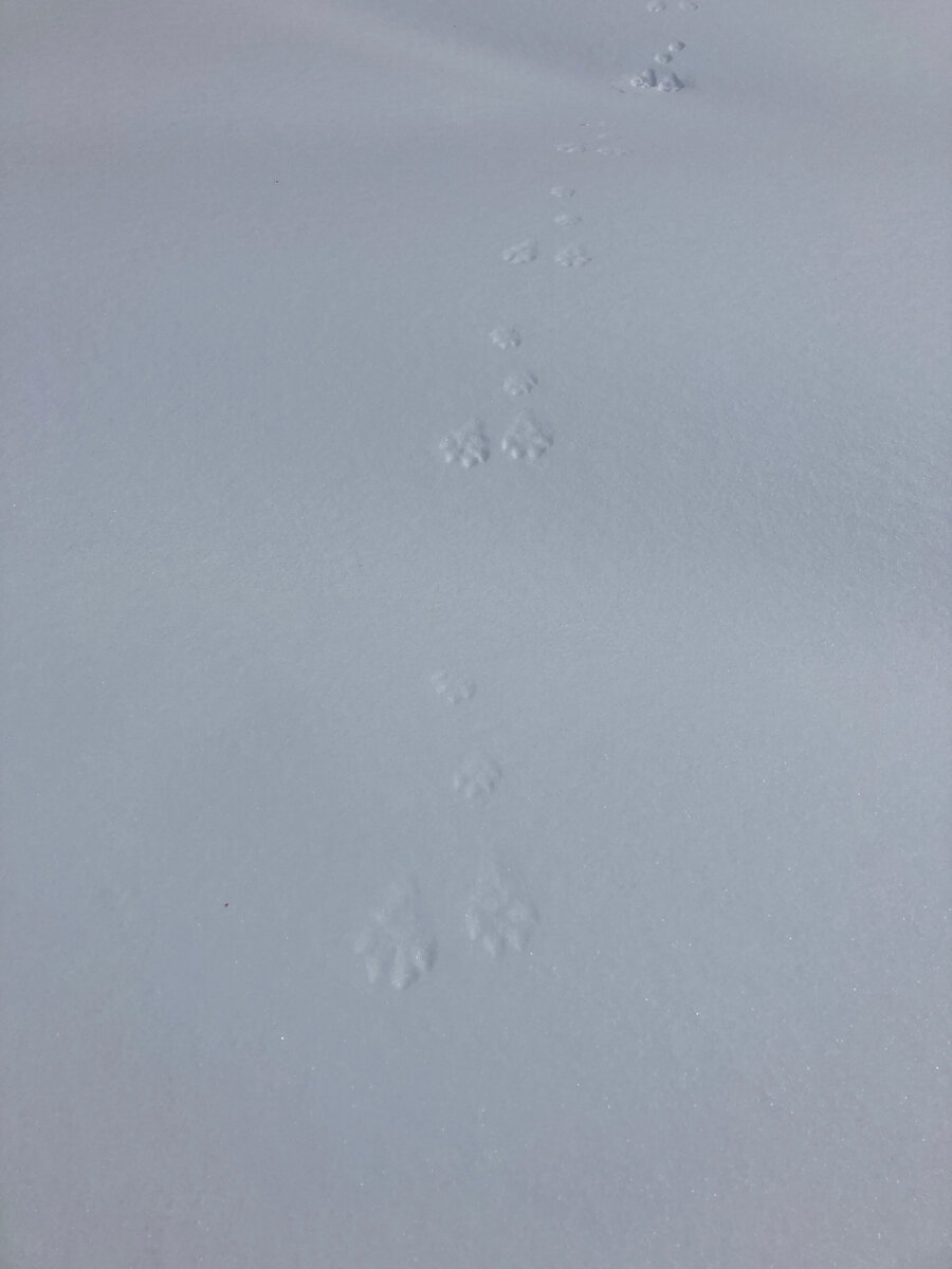 -2-3