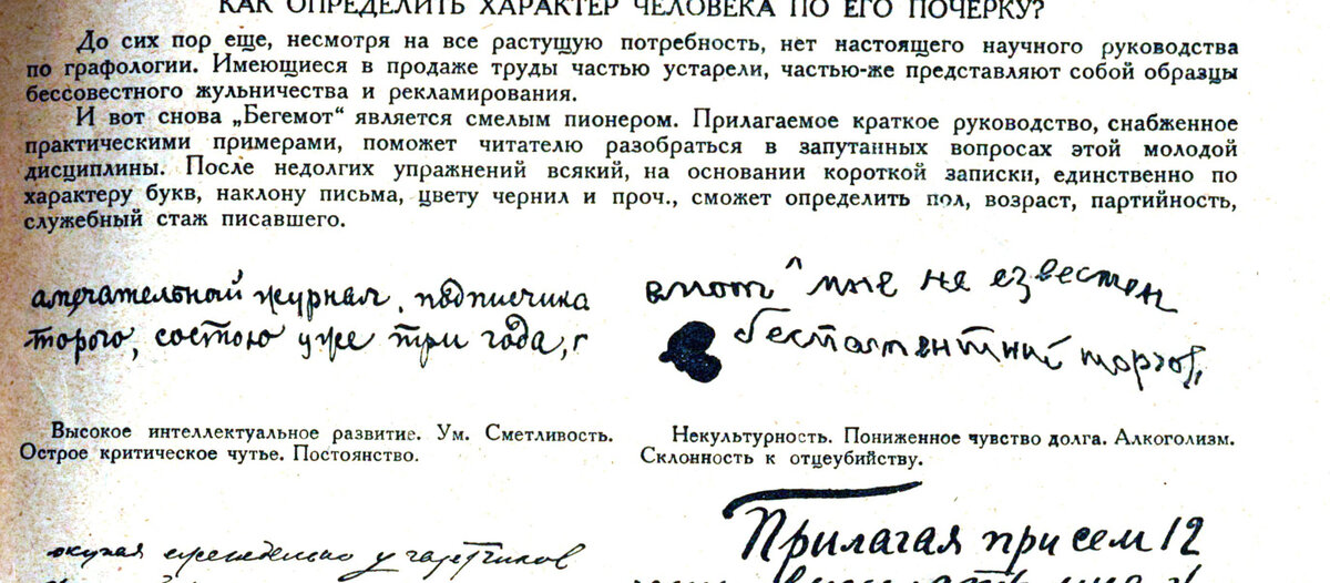 Сам себе графолог, или Что по почерку можно узнать о человеке | Аргументы и Факты