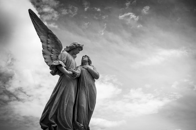 Фото с сайта https://www.pexels.com/ru-ru/