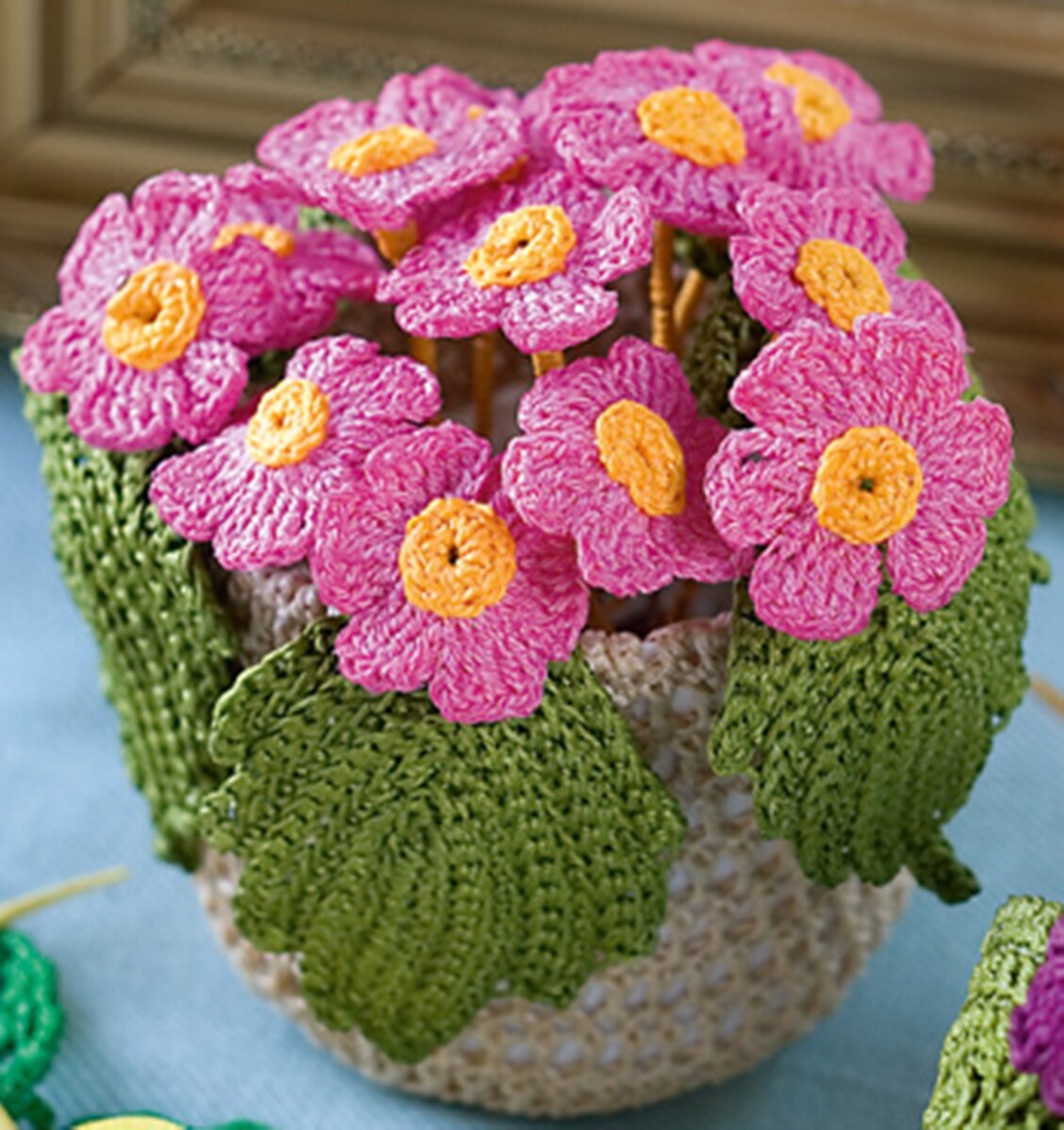 Розовые примулы