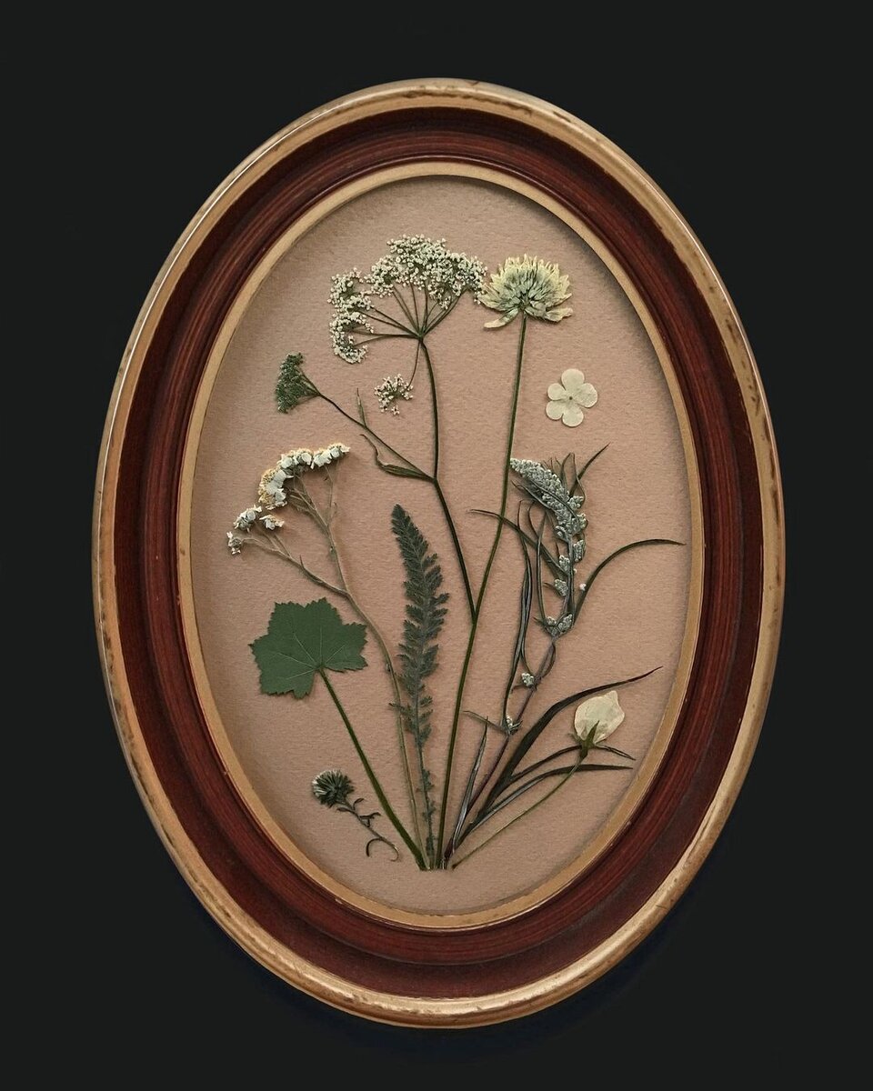 Гербарная композиция. Автор Ирина Шаврина (Философия Гербария)