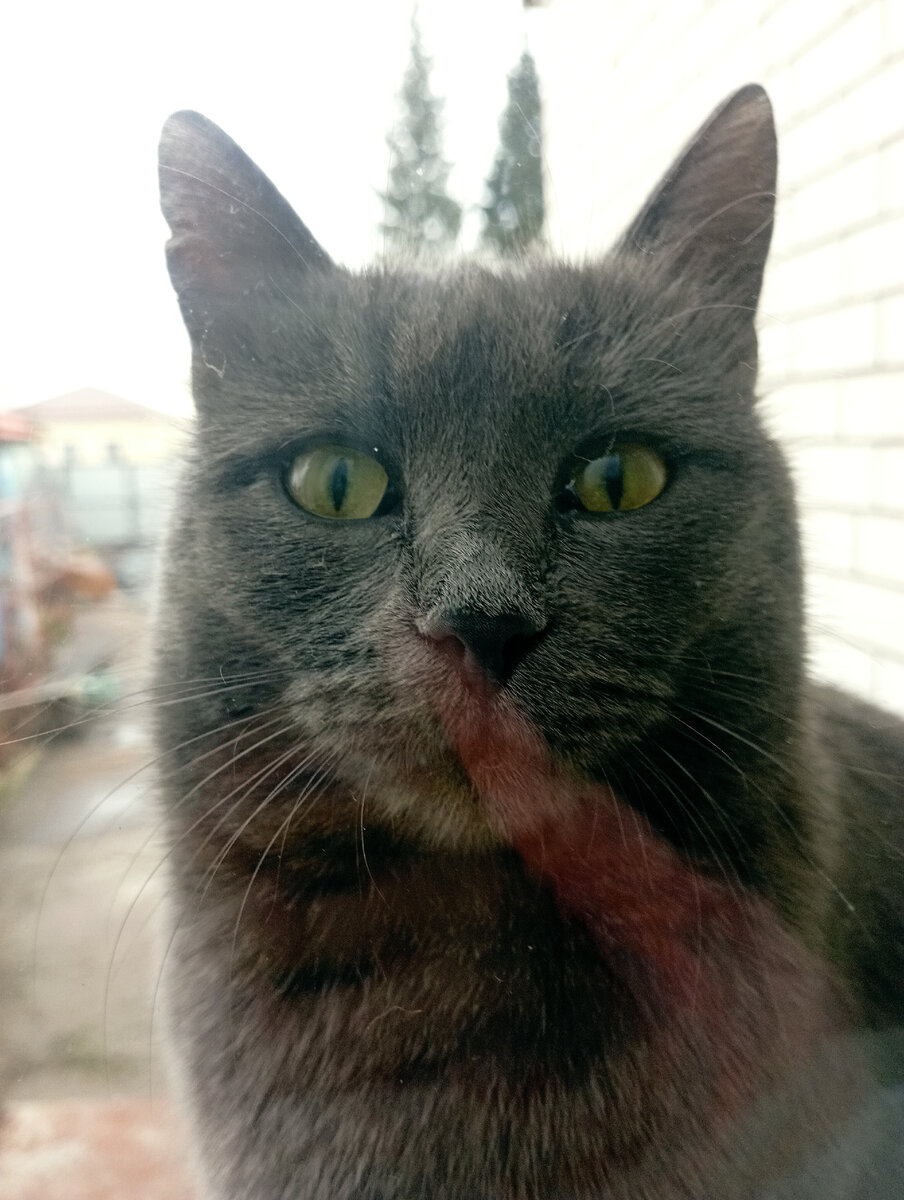 За мной наблюдают из окна) (красненькое - отражение моей футболки) 