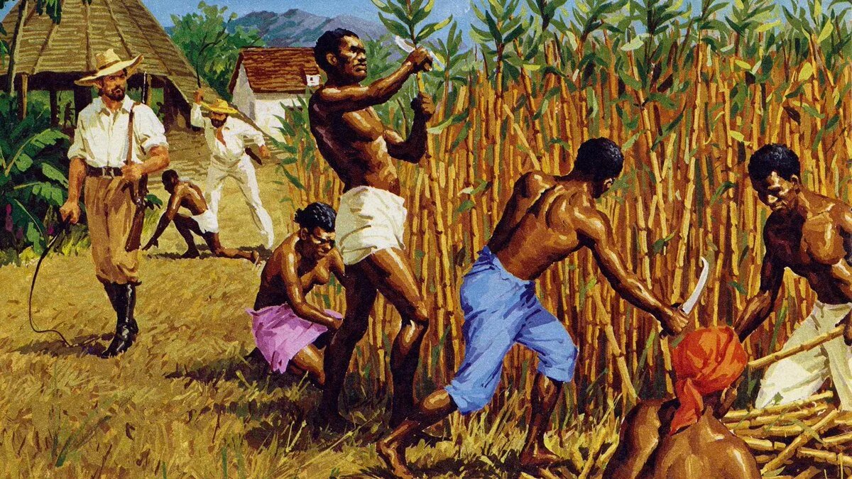 Юг рабовладельческие плантации 19 век