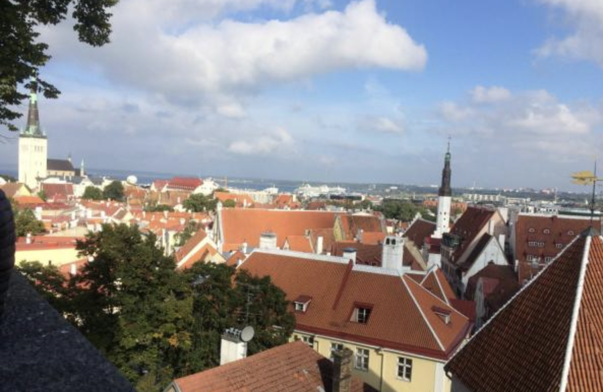 Знаменитые крыши Таллина