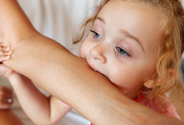 Фото: Shutterstock / Antonio Gravante