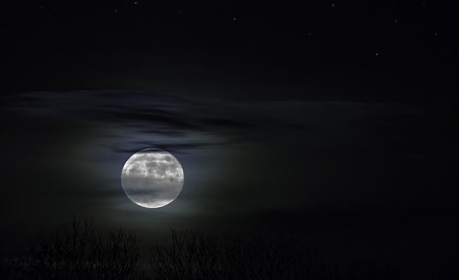 Фото: Pixabay.com
