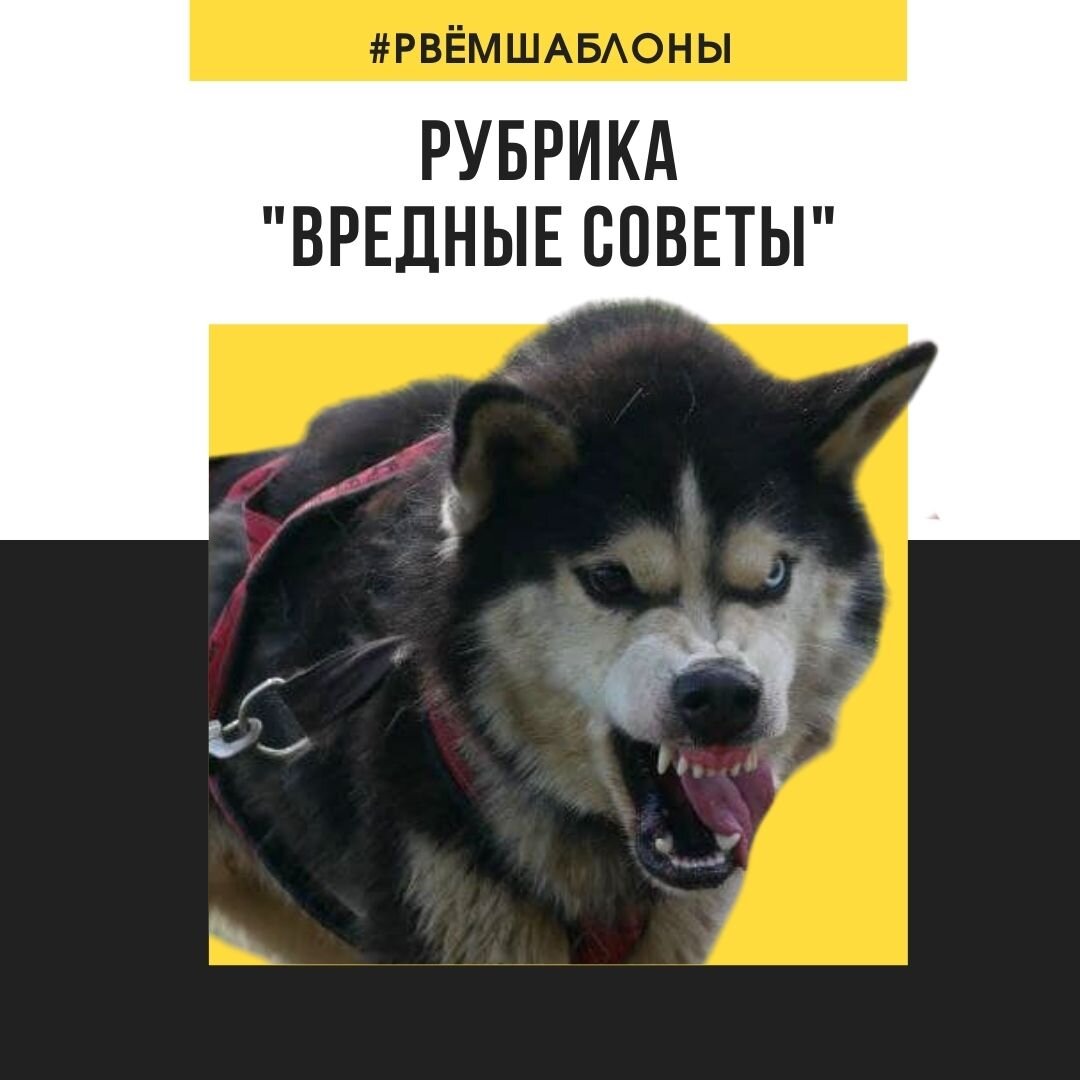 На фото нащ подопечный Гудзон
