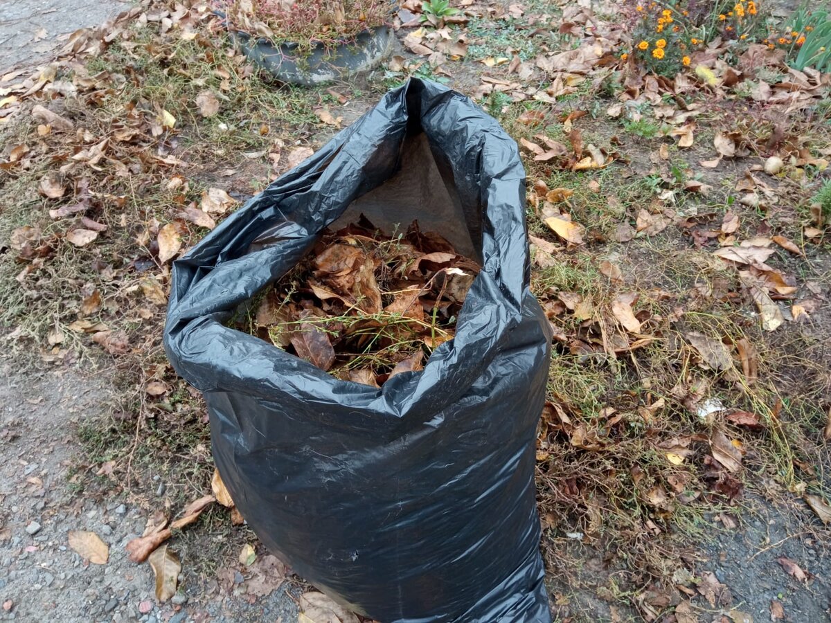 Виды органических удобрений. Конский перегной. Голубиный помет удобрение. Органические удобрения для почвы. Удобрение органическое.