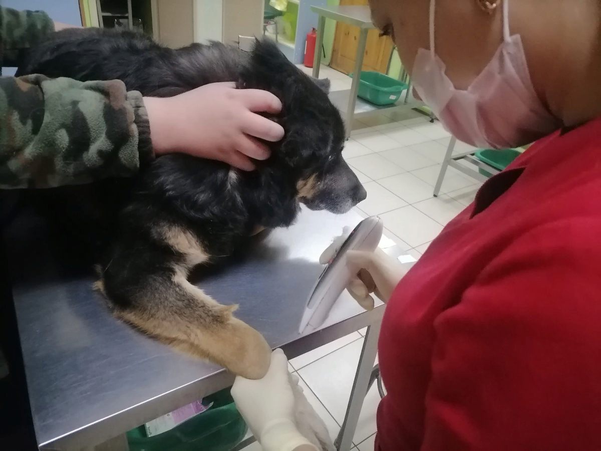 Подготовка к капельнице