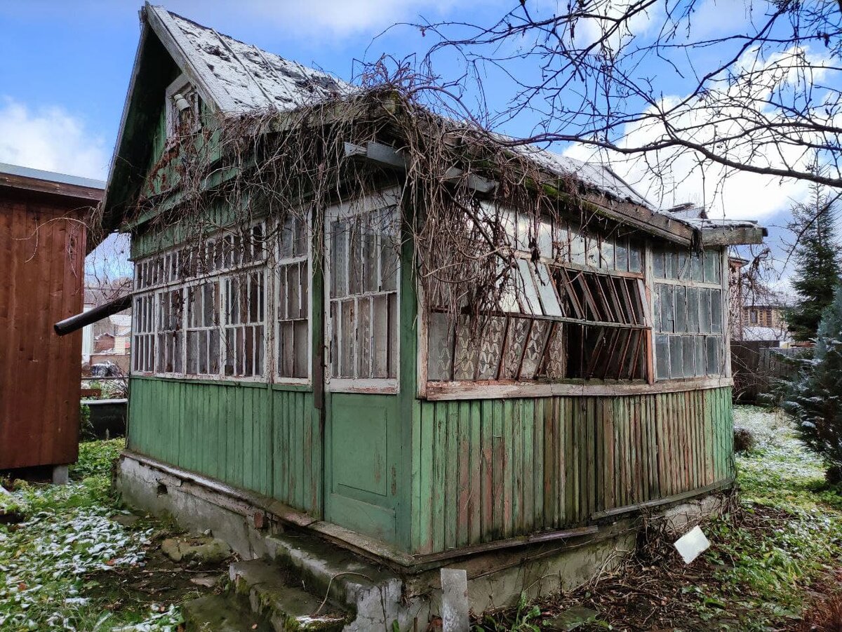 Наш маленький участок, первый взгляд | Вместо квартиры - дом! | Дзен