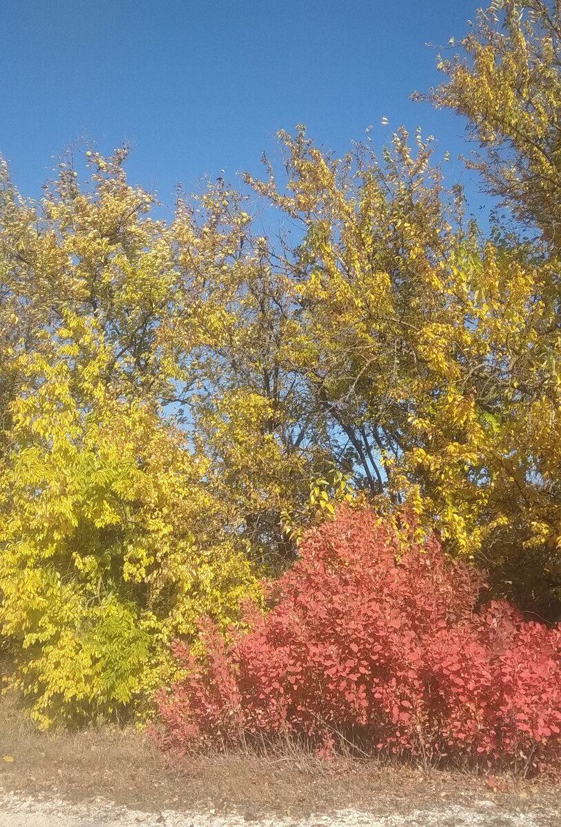 Такие вот обочины.