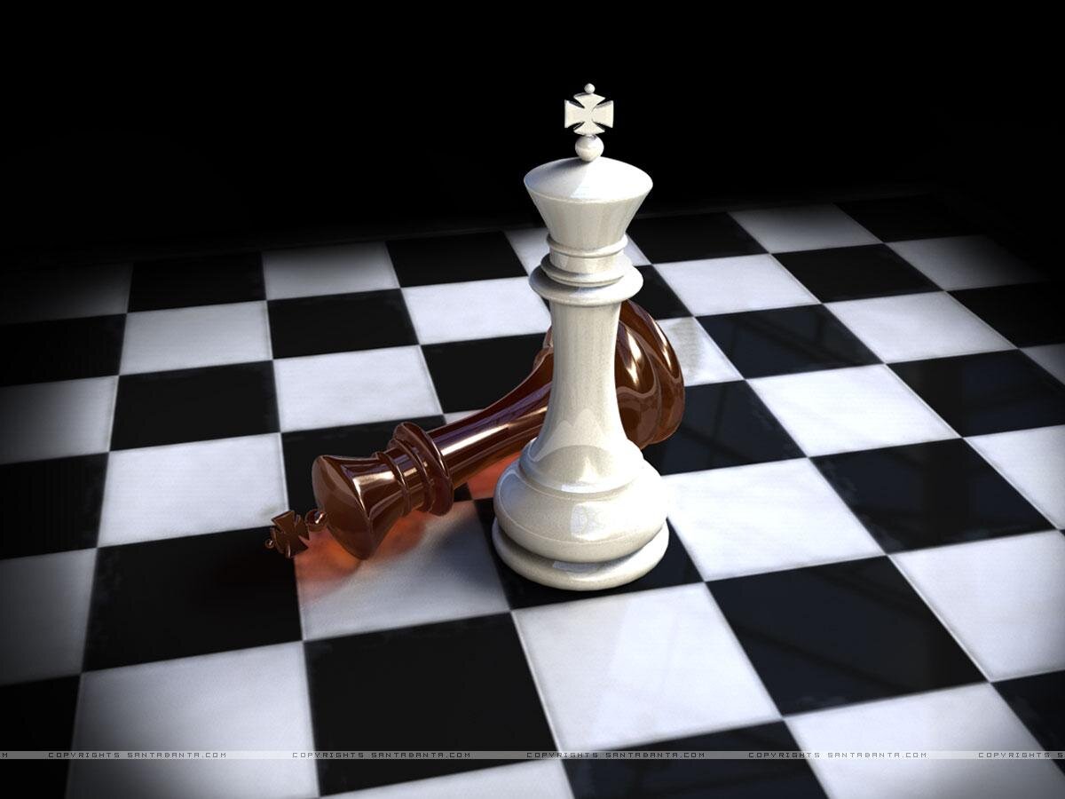 Шахматы на 1 экране. Шахматная Королева ферзь. Королева и ферзь фигуры в шахматах. Шахматы ферзь черная Королева. Шахматы черный Король белый ферзь.