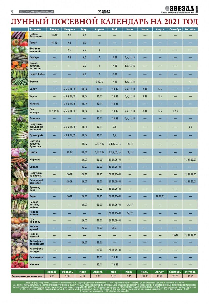 Календарь посева на год Лучшие посадочные дни в апреле