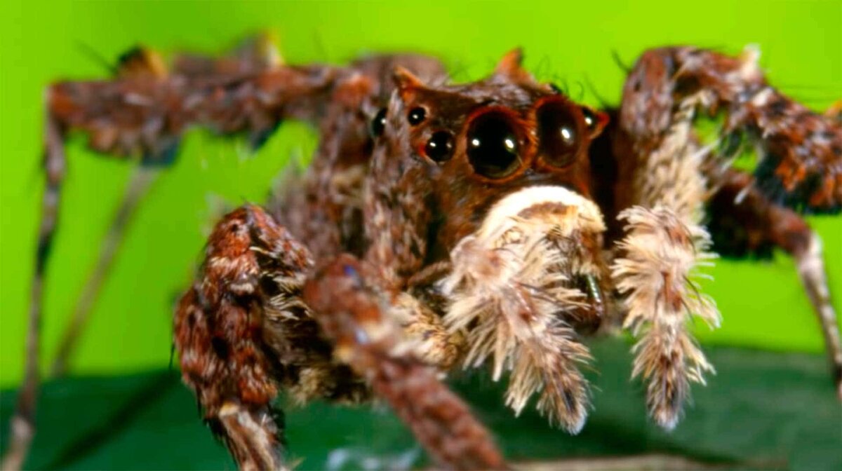 Хорошо, что он маленький!