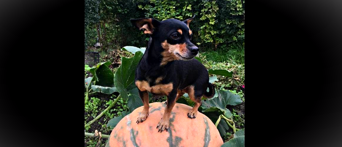 на прогулке