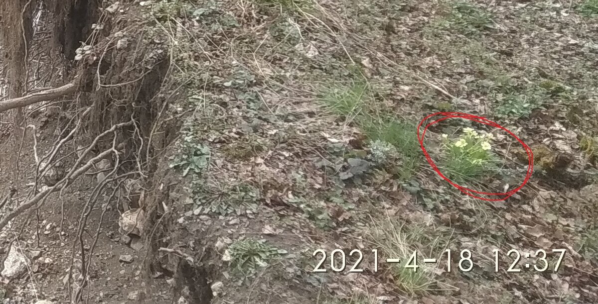 -1-3