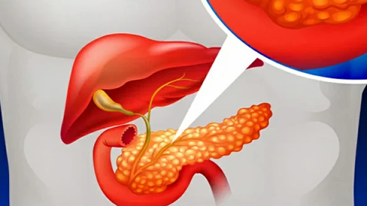 фото: shutterstock.com