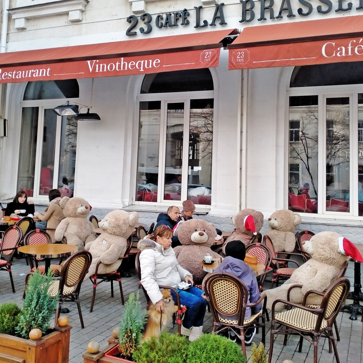 Мишки-завсегдатаи! Держат дистанцию, впитывают негатив, намекают на ещё одну чашечку кофе и порцию шоколадных кексов.