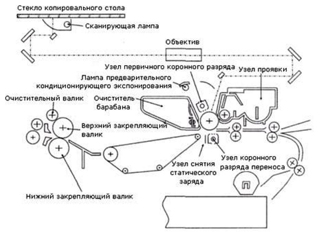 Принцип работы копировального аппарата. Принцип работы копировального аппарата. Копировальный аппарат из чего состоит. Схемы работы копировальных устройств. Детали копировального аппарата.