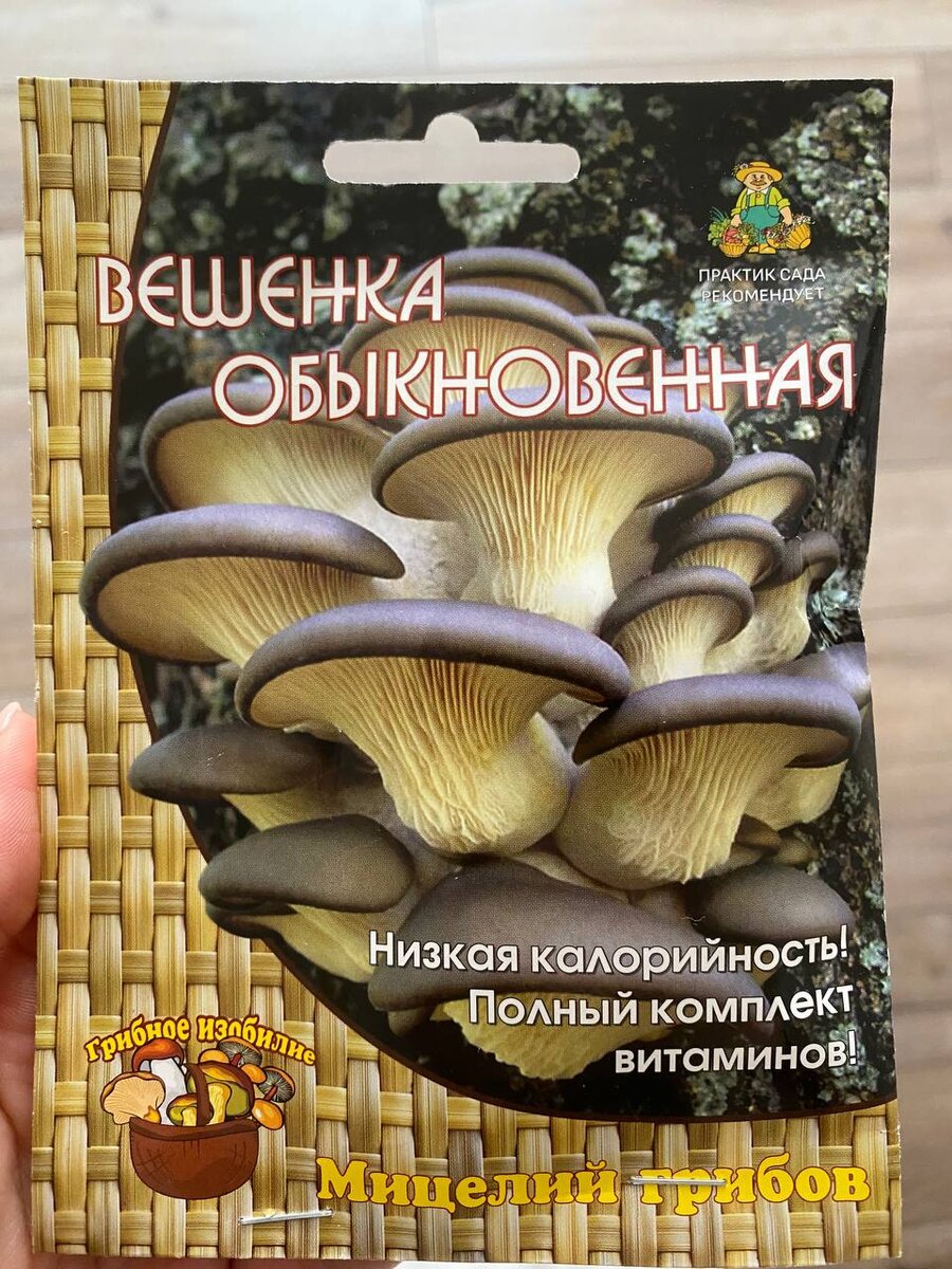 Думаю посадить на даче еще и грибы! Теперь знаю, как это делать |  Современная дача | Дзен