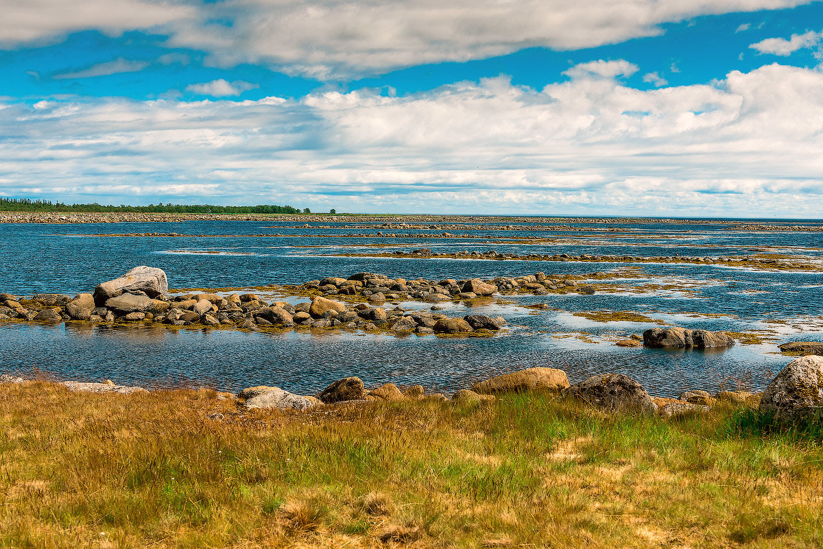 Белое море картинки