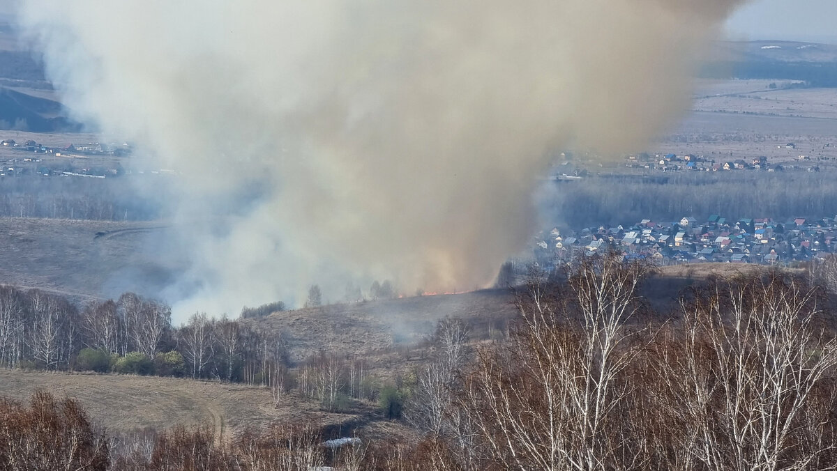 Фото Светланы Усановой.