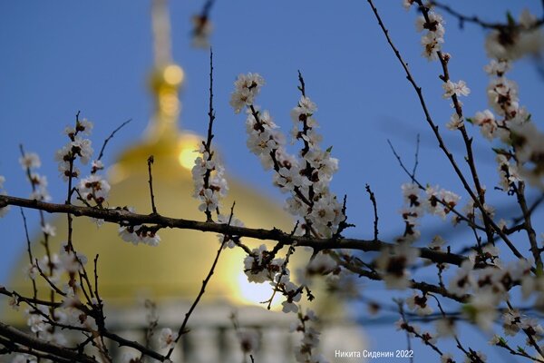 Фотограф: Никита Сиденин