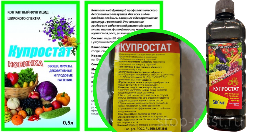 Купростат. Vtltcjlth;FOBQ Aeyubwbl. Купростат 0,5л. (Фунгицид) Росток Грин.