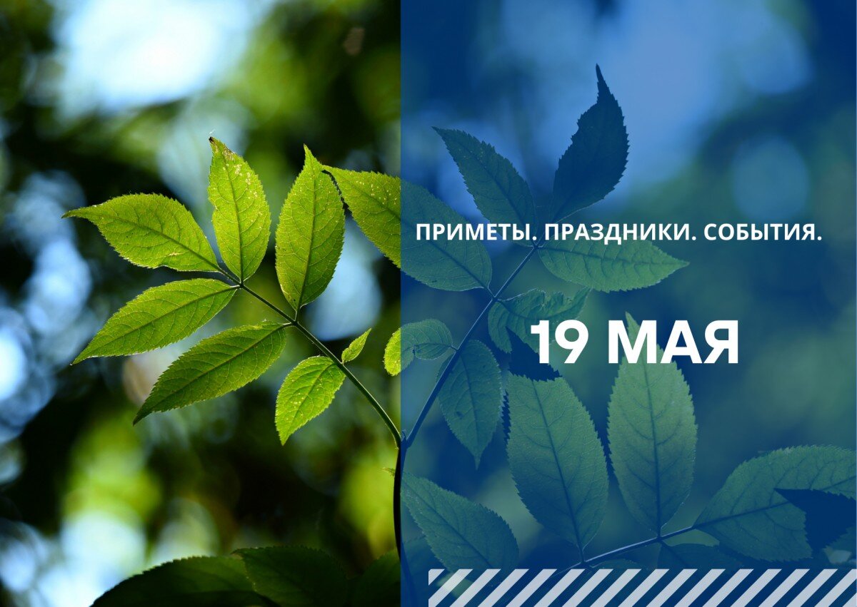 Приметы на 19 мая 2024 года