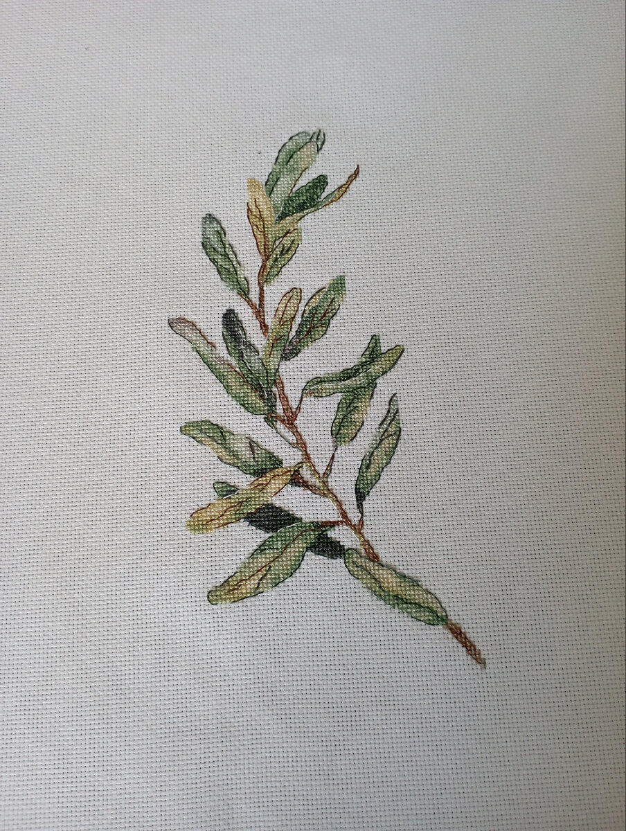 Первая работа