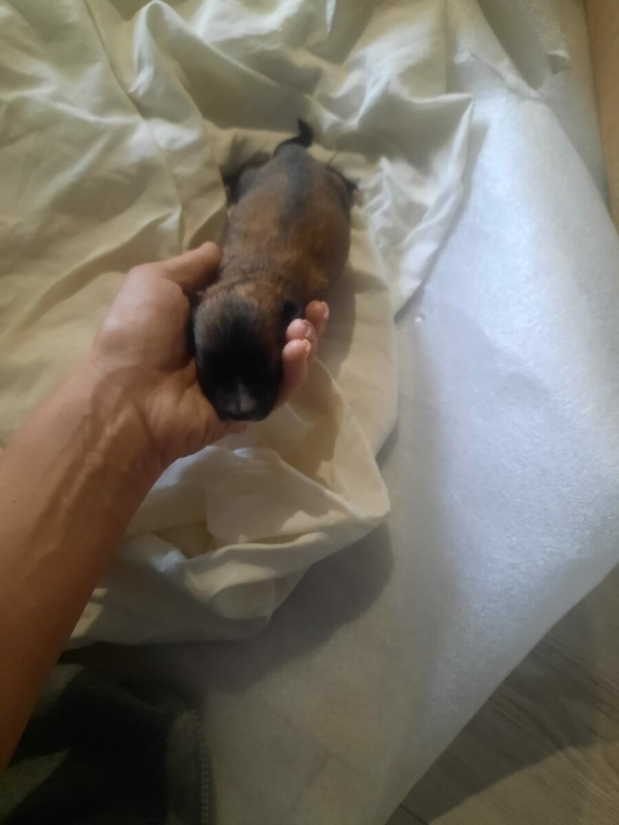 Добавьте описание