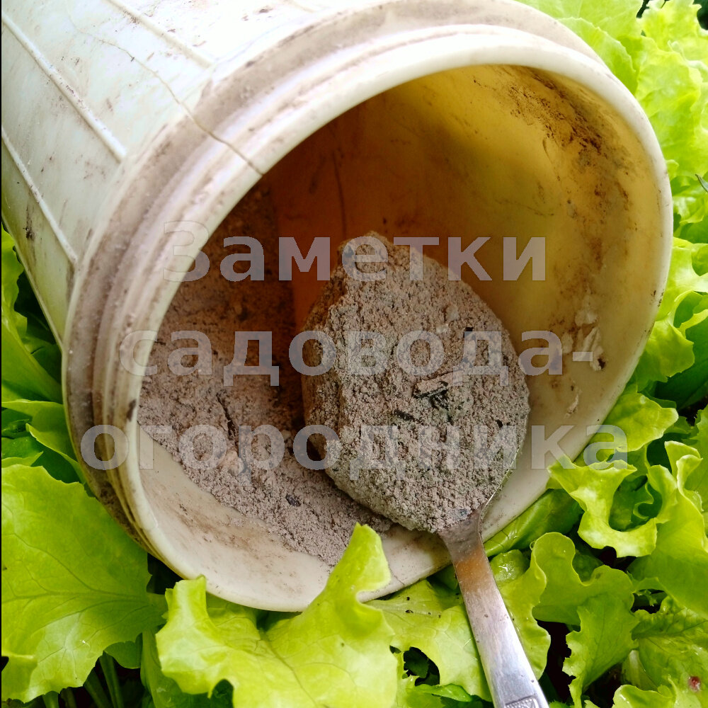 Зола в ведерке в ложке